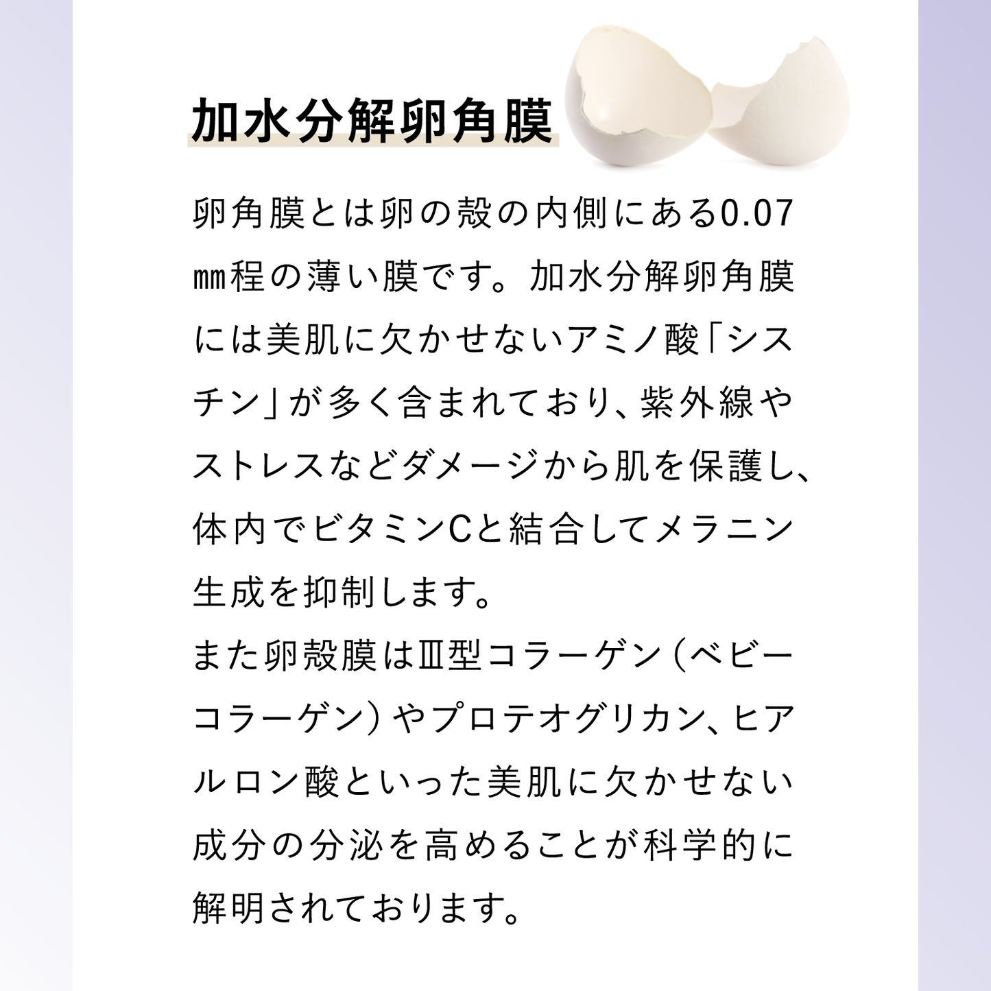 プロフェッショナル リバイタセラム 6ml×3本